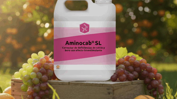AminoCaB® SL