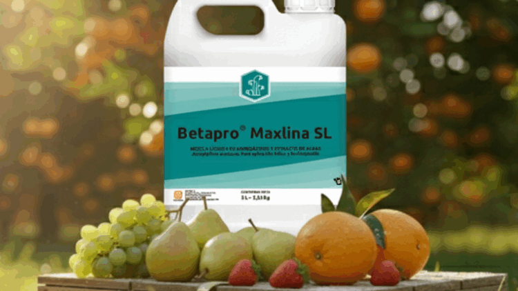 Betapro® SL