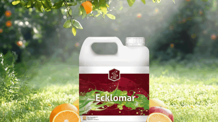 Ecklomar