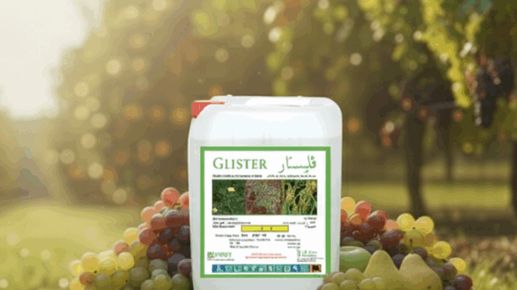 Glister