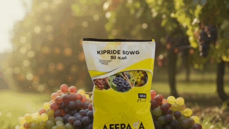 Kipride WG