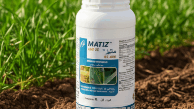 Matiz