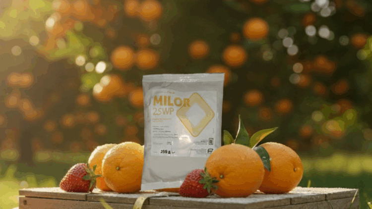 Milor 25 WP