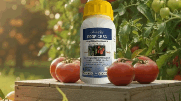 Propice SC