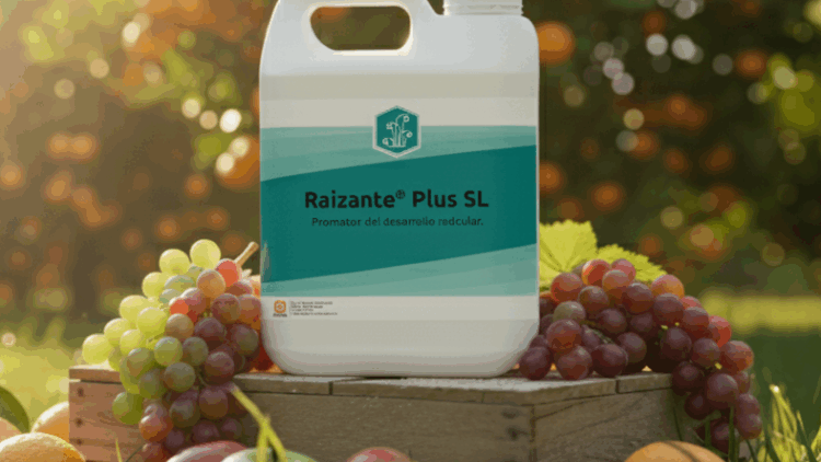 Raizante Plus SL