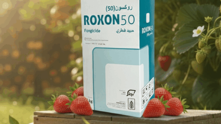 Roxon 50