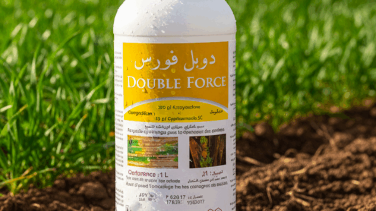 Double Force
